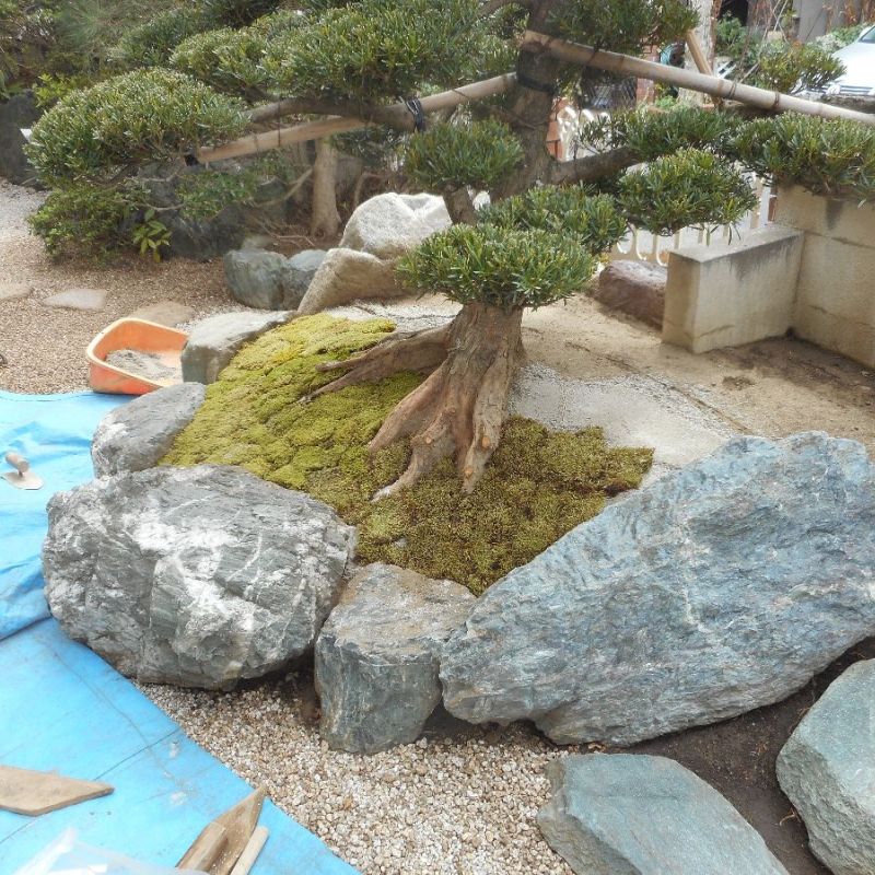 ＫＴＭ様邸 マキの木 植栽作業 :: 庭木の手入れ 植木剪定 庭づくり 造園 東京町田市の杉井植木